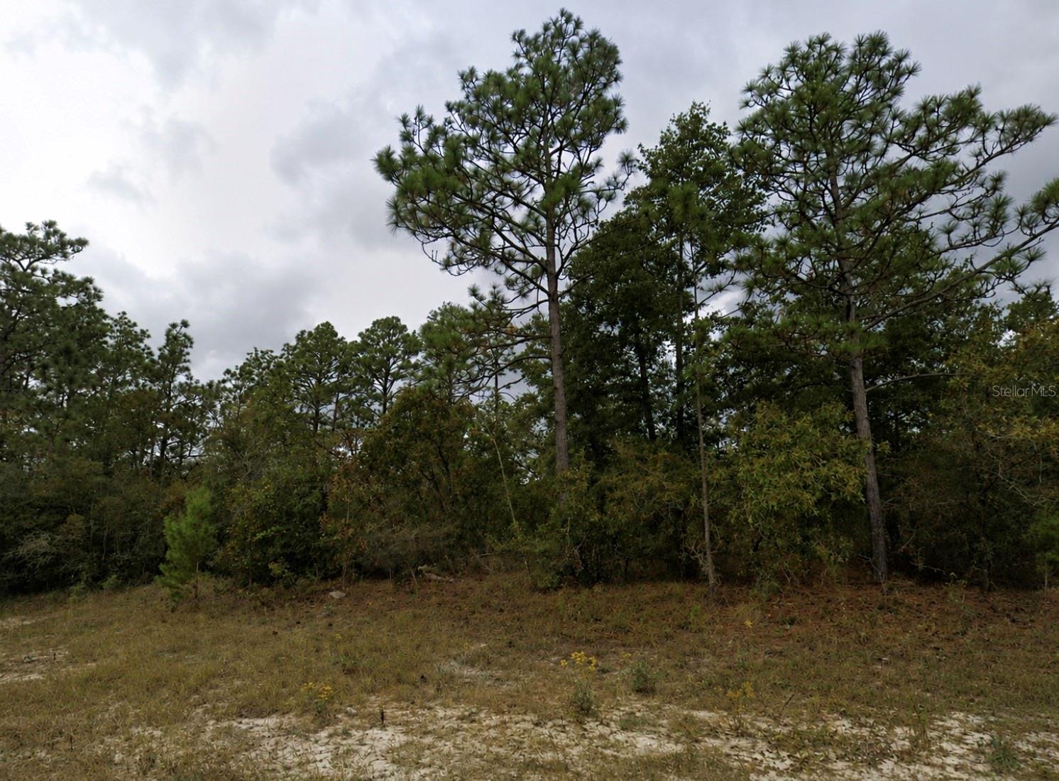 Bentley Court, FL