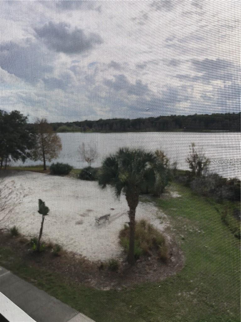 3468 Soho Street, FL