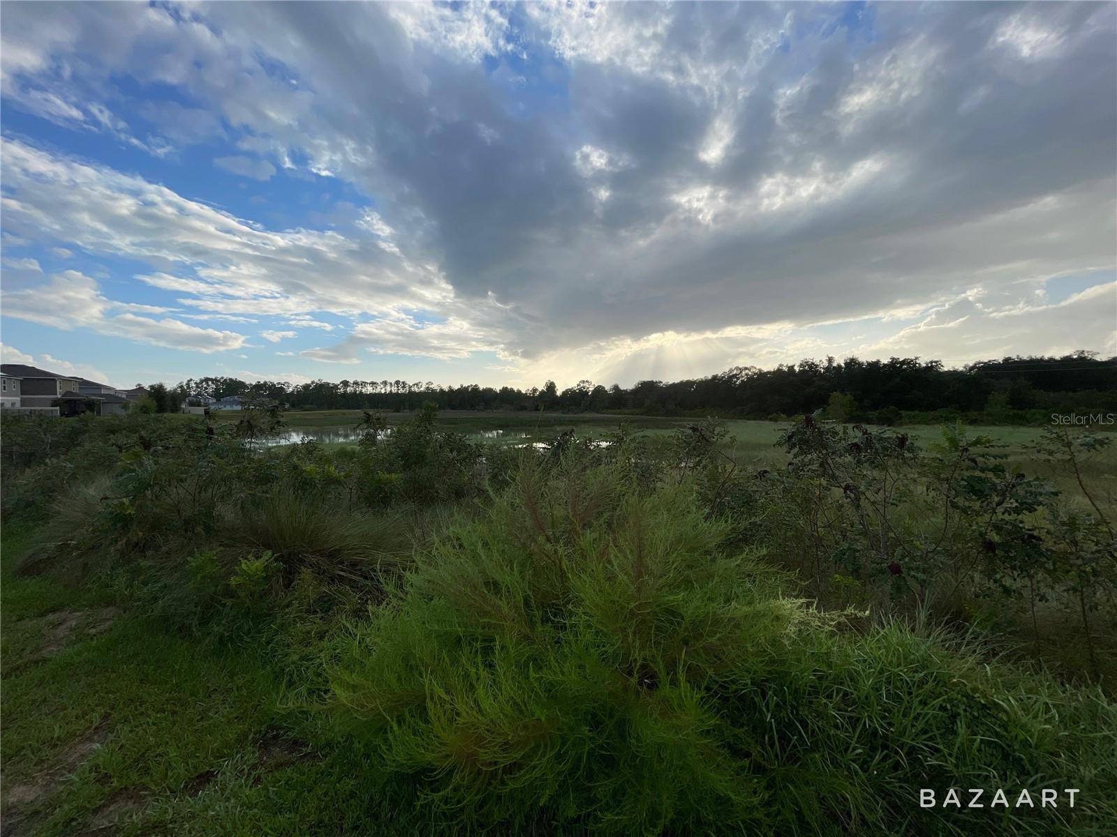 1433 Sawgrass Hammock Lane, FL