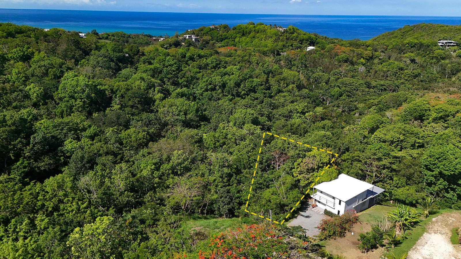 Hidden Tranquil Lot 413 Sector Collazo, PR