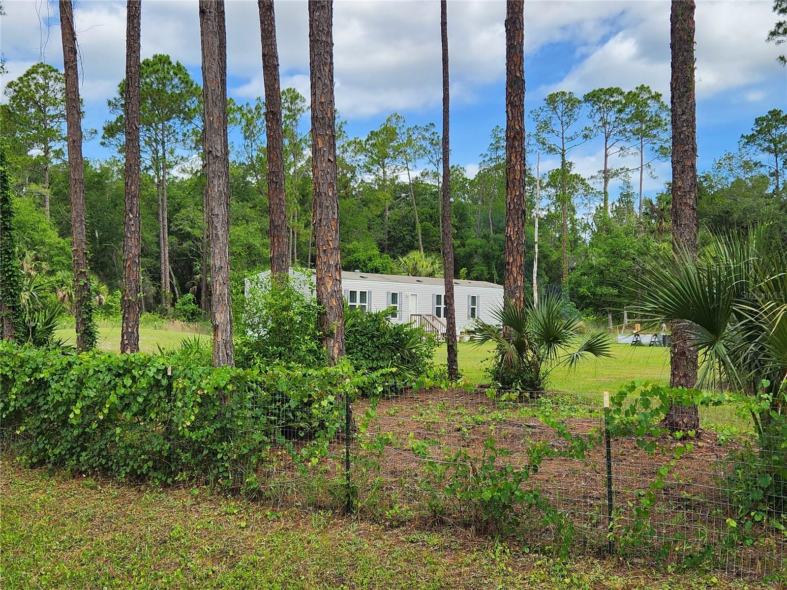 5074 Butternut Avenue, FL